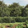  antracitszürke drótkerítés cövekekkel 2 x 25 m