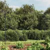  antracitszürke horganyzott acél dróthálós kerítés 2,2x25 m