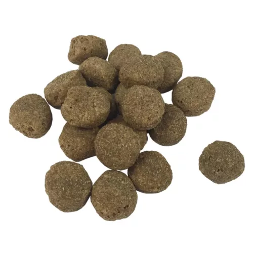  „Adult Essence Beef” prémium száraz kutyatáp 15 kg