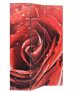 VID piros paraván 120 x 180 cm rózsa