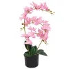  műorchidea virágcseréppel 65 cm rózsaszín