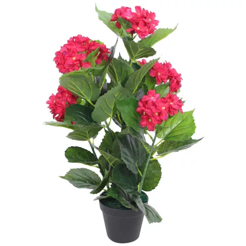  műhortenzia virágcseréppel 60 cm piros