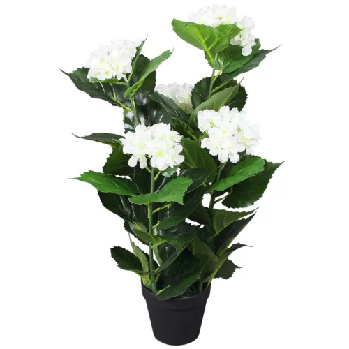  műhortenzia virágcseréppel 60 cm fehér