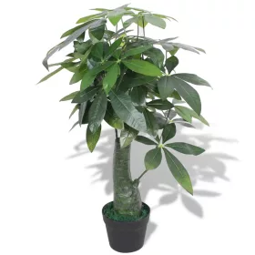  művadkakaó virágcseréppel 85 cm zöld