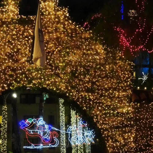  Led Háló Sötétzöld