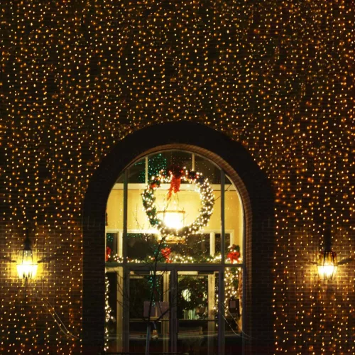  Led Háló Sötétzöld