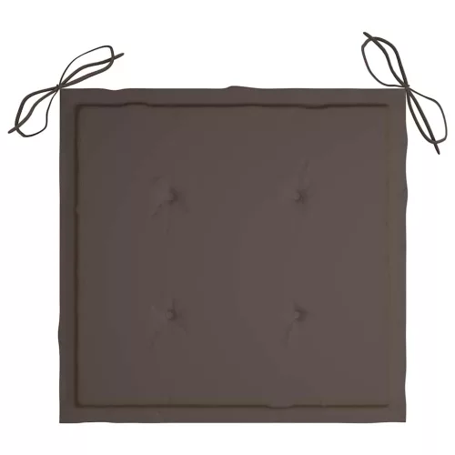  2 db tömör tíkfa kerti szék tópszínű párnával