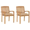  2 db tömör tíkfa kerti szék bézs párnával