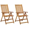  2 db dönthető tömör akácfa kerti szék párnákkal