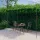  antik barna vas kerti pergola 6 x 3 x 2,5 m 