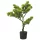  zöld cserepes mű fenyőbonsai 60 cm