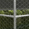  Kutyaház tárolóval 2 pcs Ezüst 4 x 2 x 2 m Acél