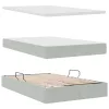  Ágy LED -es lámpákkal Világosszürke 120 x 200 cm Bársony