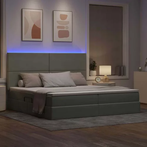  Ágy LED -es lámpákkal Világosszürke 200 x 200 cm Bársony