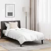  Paplan Egyéb párnával 2 pcs Fehér 135 x 220 cm Pehely