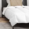  Paplan Egyéb párnával 2 pcs Fehér 140 x 220 cm Pehely