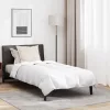  Paplan Egyéb párnával 2 pcs Fehér 140 x 220 cm Pehely