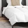  Paplan Egyéb párnával 2 pcs Fehér 155 x 220 cm Pehely