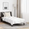  Paplan párnával Egyéb párnával 2 pcs Fehér 155 x 220 cm Mikroszálas