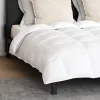  Paplan Egyéb párnával 3 pcs Fehér 260 x 220 cm Pehely