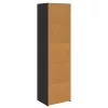  Cabinet Fekete tölgy 50 x 41 x 185 cm Faanyag