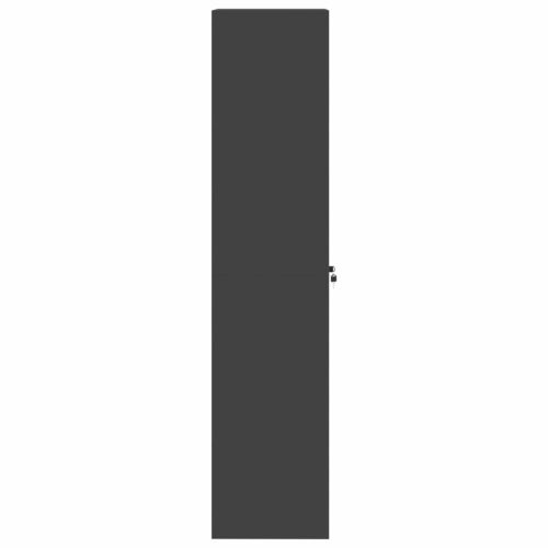  Tárolószekrény tárolóval 2 pcs Fekete 60 x 40 x 180 cm