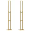  Kiállító Állvány 2 pcs Arany 30 x 24 x 208 cm Vas