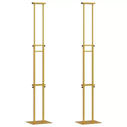 Kiállító Állvány 2 pcs Arany 30 x 24 x 208 cm Vas