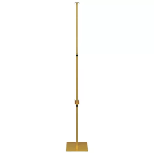  Kiállító Állvány 2 pcs Arany 30 x 24 x 208 cm Vas