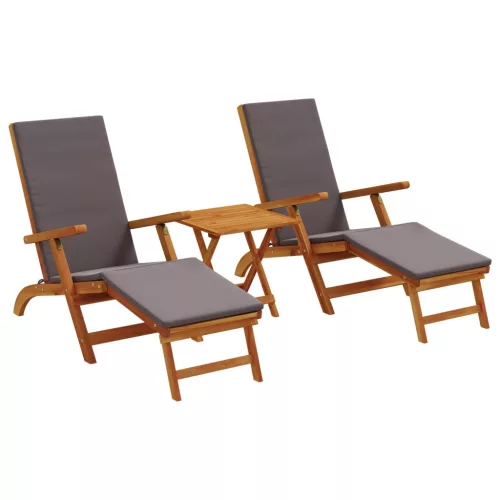  Függőágy és összecsukható napozóágy 3 pcs Sötétszürke
