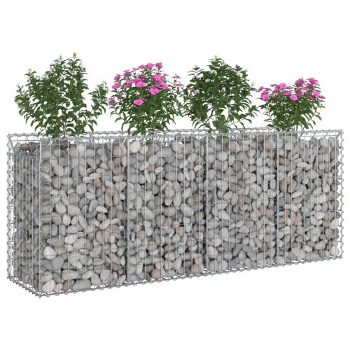  Gabion emelt ágy 2 pcs Ezüst 200 x 50 x 80 cm Horganyzott acél