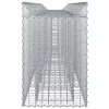  Gabion emelt ágy 2 pcs Ezüst 300 x 50 x 80 cm Horganyzott acél