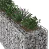  Gabion emelt ágy 2 pcs Ezüst 250 x 50 x 80 cm Horganyzott acél