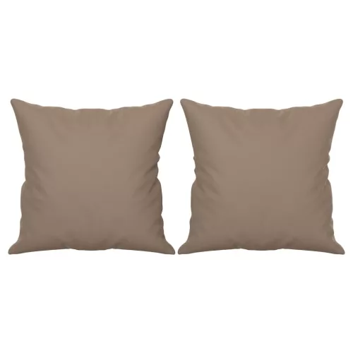  2 db tópszínű mikroszálas díszpárna 40 x 40 cm