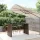  barna polyrattan kerti asztal üveglappal 185 x 80 x 110 cm