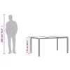  szürke polyrattan üveglapos kerti asztal 150 x 90 x 75 cm
