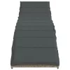  világosszürke polyrattan napozóágy párnával 55x199x50 cm