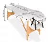 discontmania pink 2-zone wooden massage bed with carry bag - 2104S