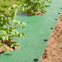 Horgok, csatok és rögzítők