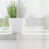  2 db fehér fátyolfüggönyök rojtokkal