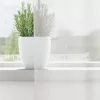  2 db fehér voile függönyök rúd zsebekkel