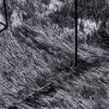  sötétszürke hosszú szálú NAVARRA bozontos szőnyeg 300x200 cm