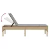  bézs polyrattan napozóágy párnával 55x200x44 cm
