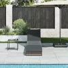  összecsukható napozóágy párnával és tárolóval szürke polyrattan