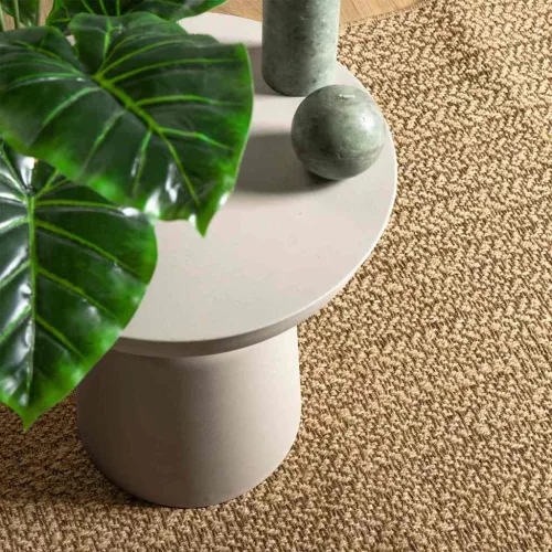  Szőnyeg Barna 100 x 200 cm PP