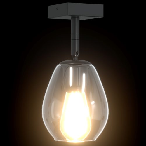  Állítható Üveg Lámpabúrával Ellátott Mennyezeti Lámpák Anthracite E27