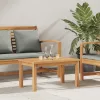  Dohányzóasztal Barna 70 x 40 x 36 cm Tömör tíkfa
