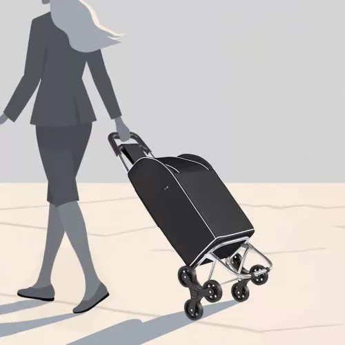  Bevásárlókocsi Fekete 39,5 x 33 x 93 cm Oxford szövet