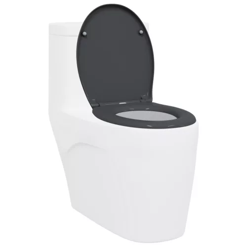  Gyorskioldó WC ülőke Puha zárással Duroplast Antracit