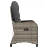  Fotel párnával Szürke Poly Rattan